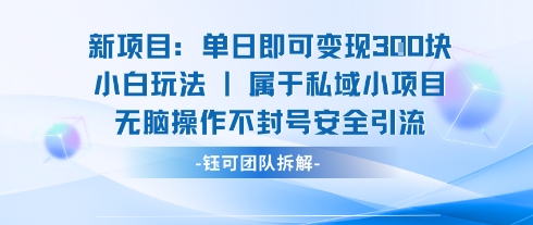 新项目单日即可变现3张的小白玩法无脑操作不封号安全引流-新手副业项目