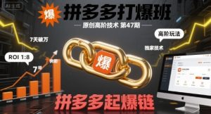 拼多多打爆班原创高阶技术第47期，拼多多起爆链-新手副业项目