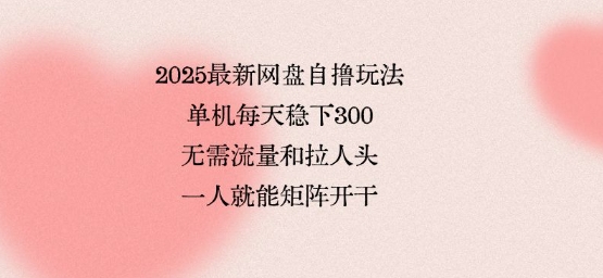2025最新网盘自撸玩法，单机每天稳下3张，无需流量和拉人头，一个人就可轻松矩阵，全网独一份【揭秘】-新手副业项目
