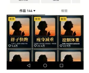 超高变现的短视频减肥细分赛道，减肥账号抖音实战训练营-新手副业项目